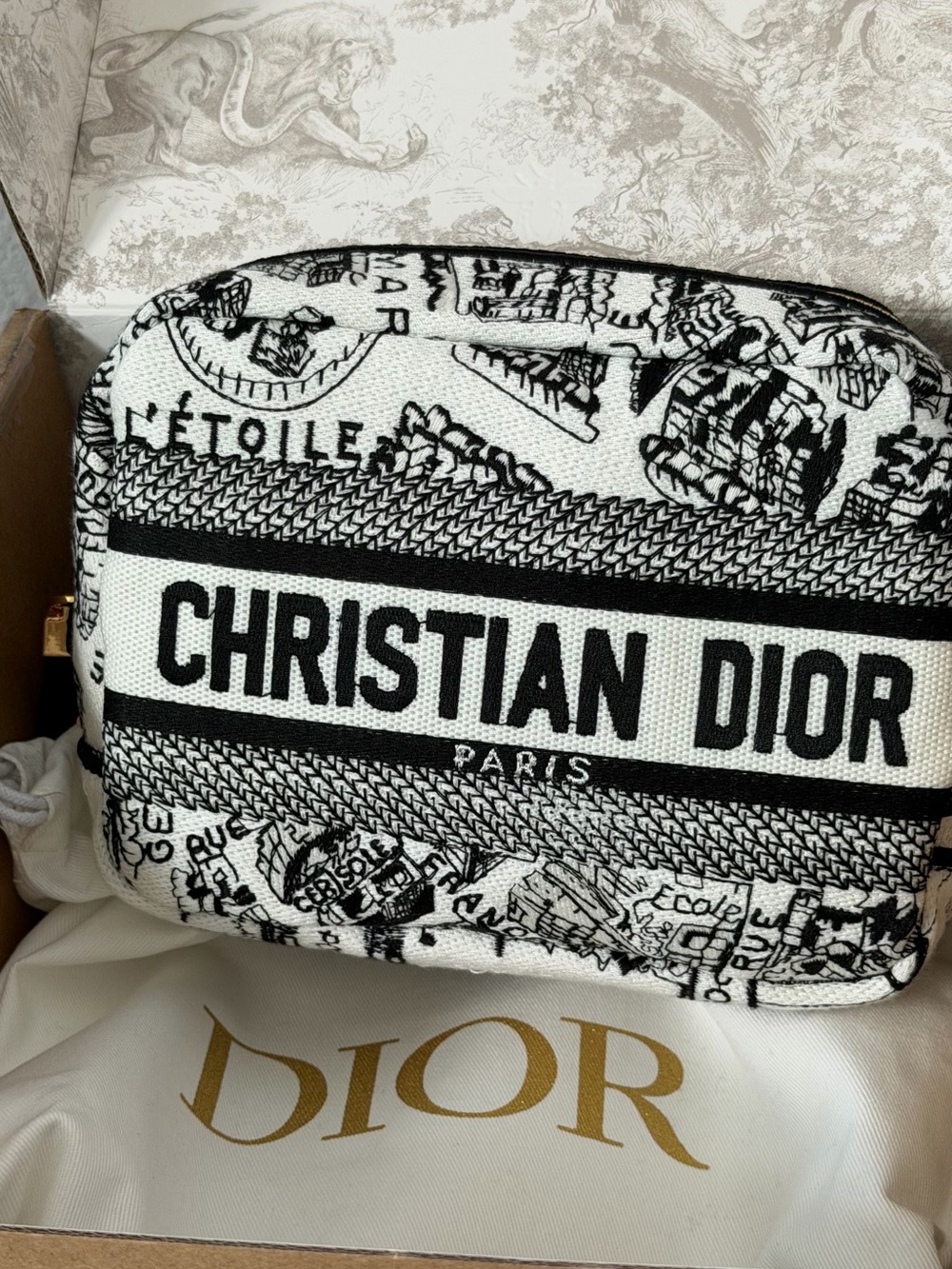 New Dior Plan de Paris Canvas Embroidered Cosmetic Bag